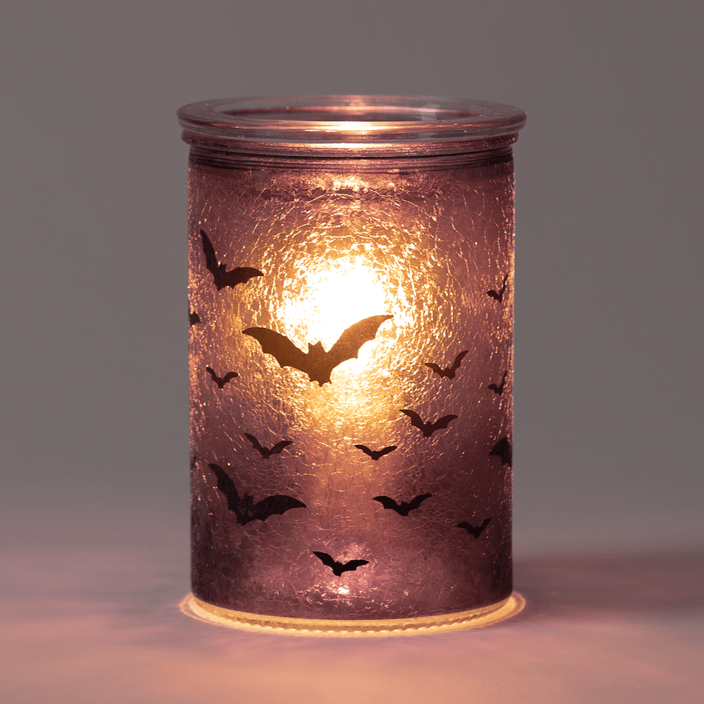 home warmer nightfall packshot dark r23 2026 pws